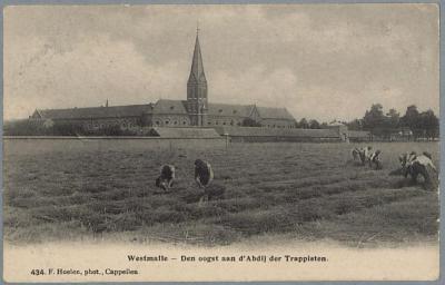 Westmalle - Den oogst aan d'Abdij der Trappisten.