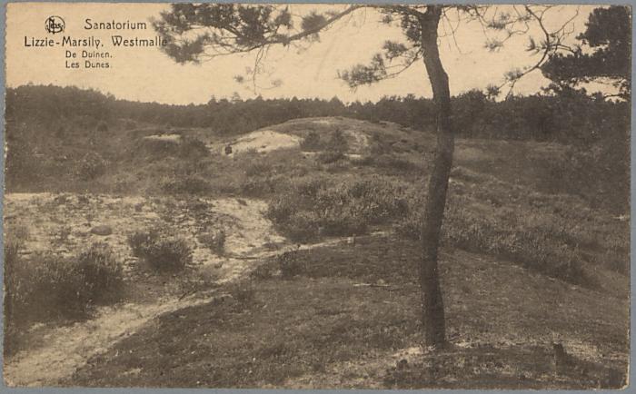 Westmalle, De Duinen. Les Dunes.