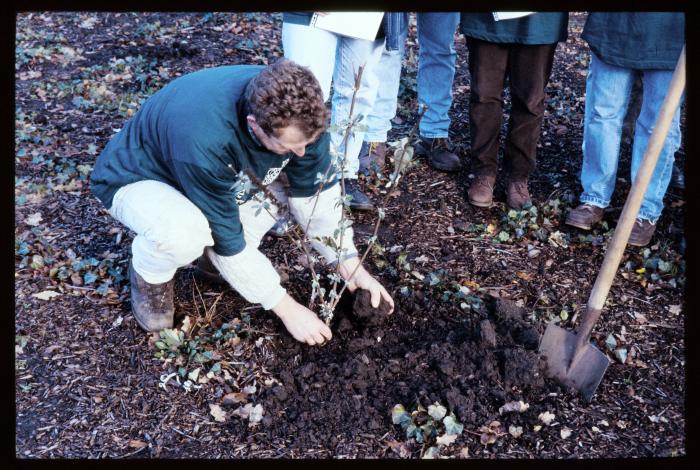 Planten