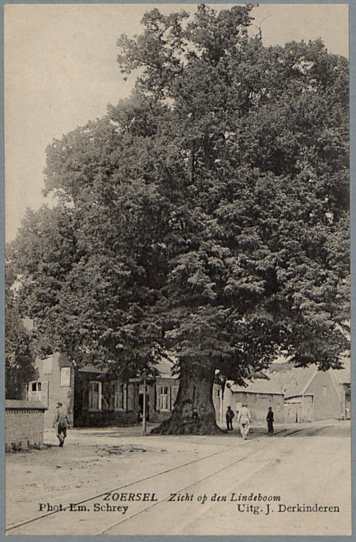 Zoersel Zicht op de Lindeboom