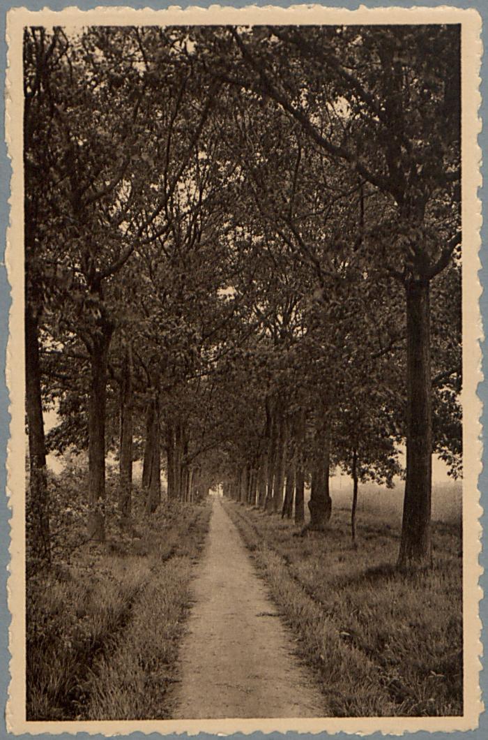 Zoersel - Torendreef. Door de Heeren Provisors der Abdij aangelegd in het jaar 1757.