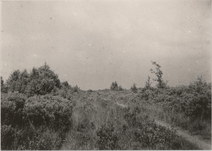 Kempische landschappen