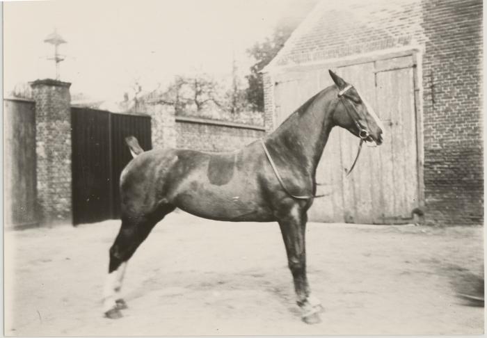 Caron / koetsen, paarden, stallingen, tuin, auto's, tuinfeest etc.
