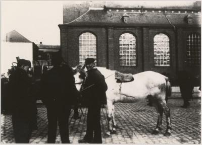 Paardenmarkt aan St. Pieterskerk

