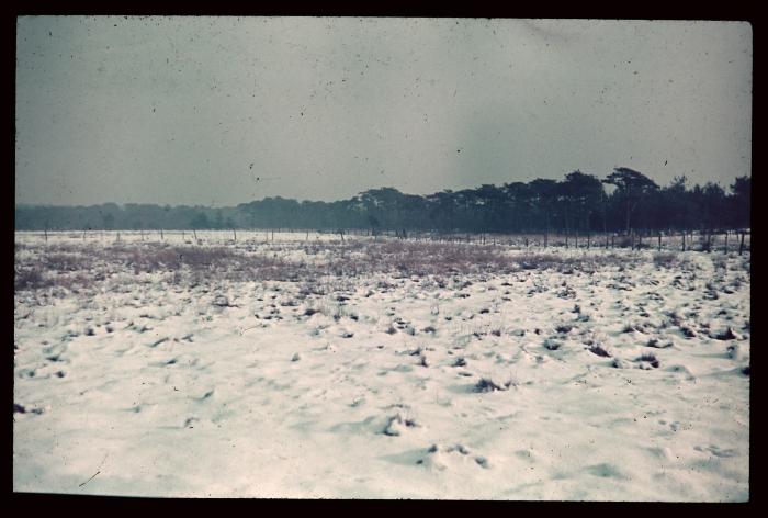  Besneeuwd landschap