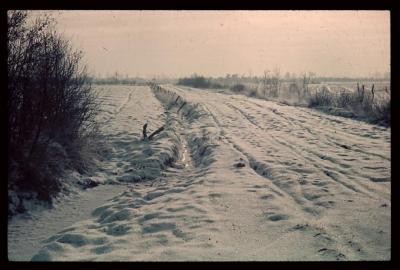  Besneeuwd natuurlandschap