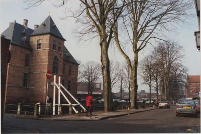 Omgeving van kasteel vóór rooien van bomen 1994
