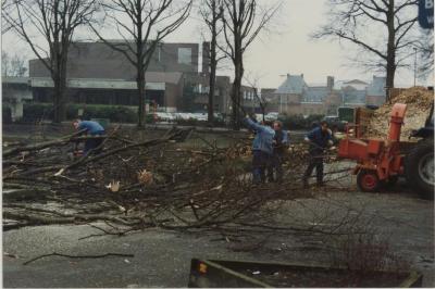 Omgeving van kasteel bij rooien van bomen 1994
