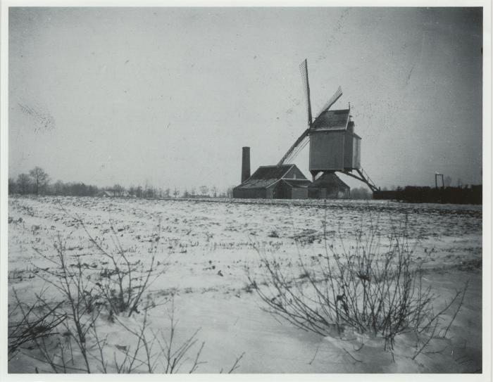 Houten windmolen / Molen Druyts (Zevendonk)
