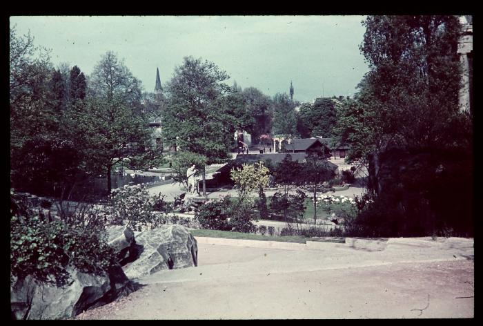 Zoologie Antwerpen