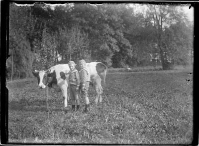 Jonge Caron's (oudste zonen) met koe.