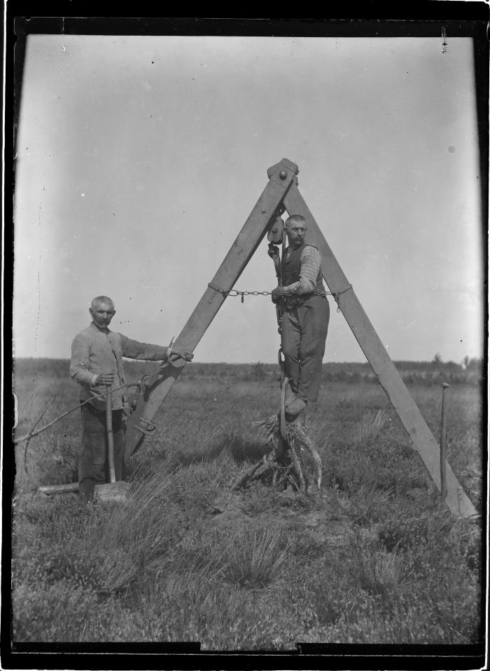 Wortels verwijderen op Heizijde.