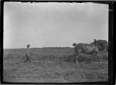  Jef Jansen boswachter met paard.