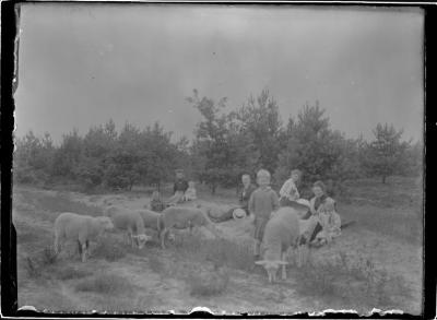 Groep mensen met schapen