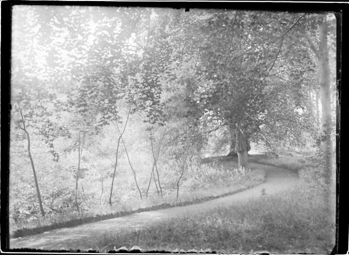 Boone's Blijk.  Park, bloemstruiken en bomen waaronder een geënte kerselaar. 