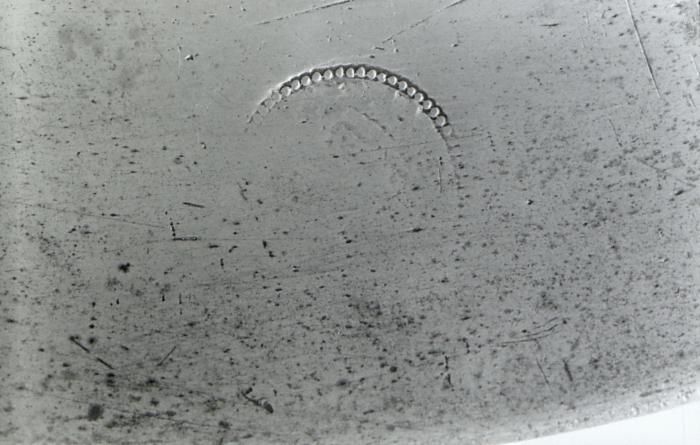 Voorwerpen uit de collectie van het Taxandria museum. Tincollectie/Kardinaalschotel
