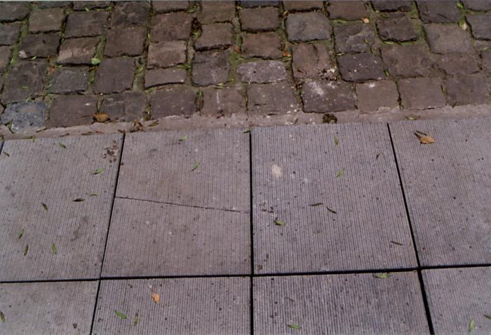 Taxandriamuseum. Huis metten Thoren. Beschadiging dolomiet en arduinen tegel aan de inkom.
