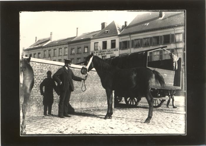 Veemarkt op de Markt voor muur St. Pieterskerk