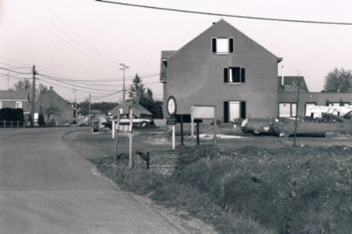 De kap van de bomen in de Pellemanstraat