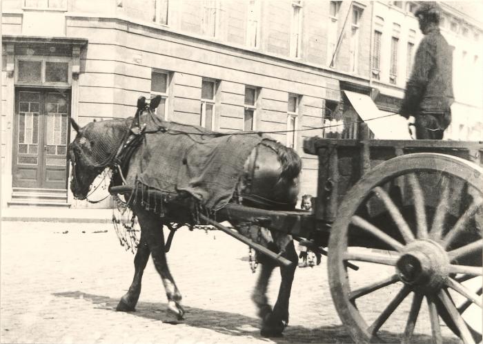Kolenboer met afgedekt paard aan de Hofstraat-St. Antoniusstraat