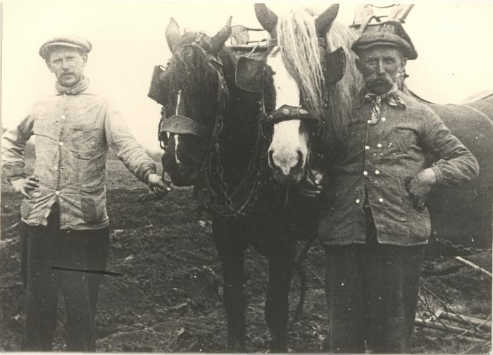 Peer en Jef Meeus met ingespannen paarden