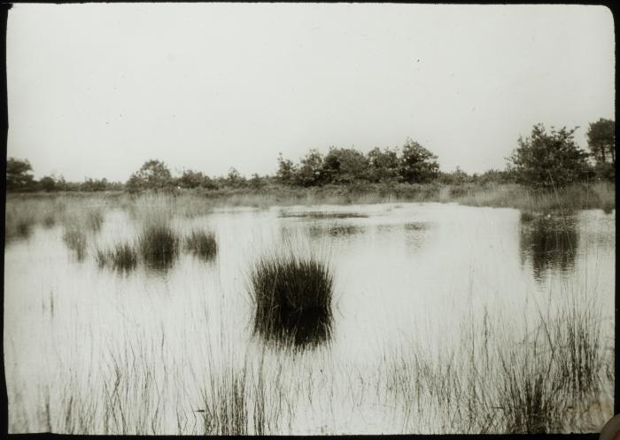 Corsendonck - vijver