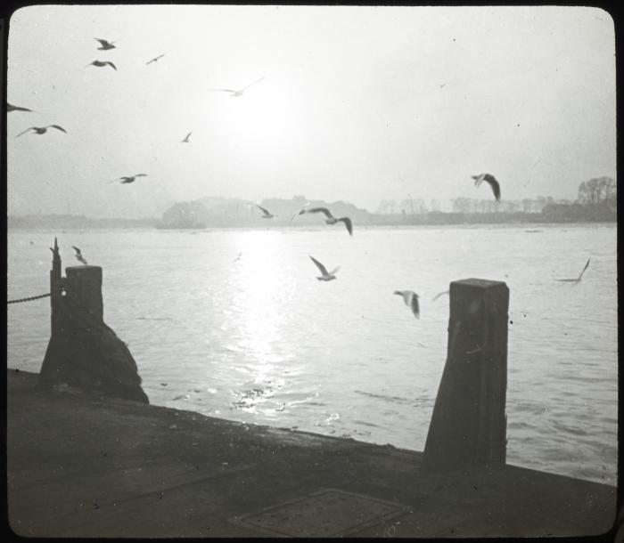 Antwerpen - Schelde []oort 29