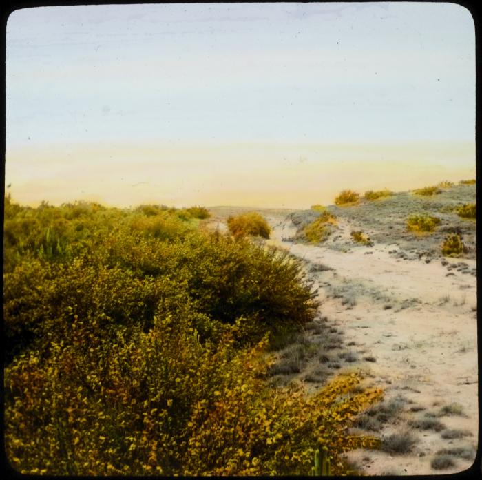 Herenthals - landschap - V. Hal