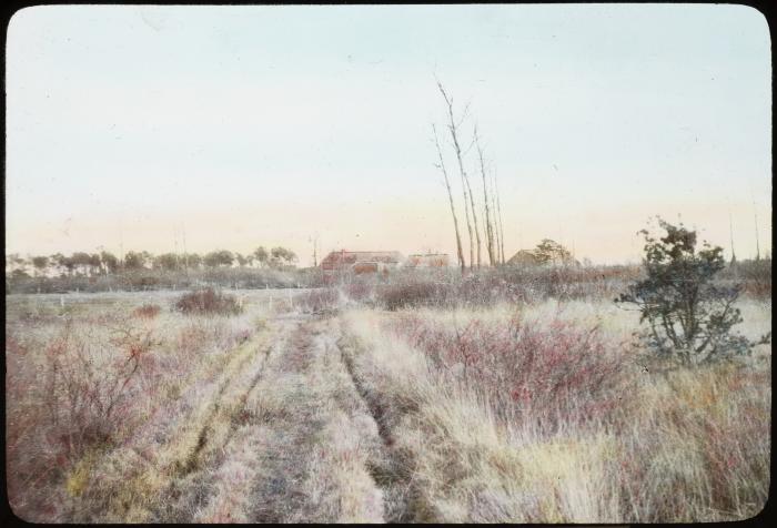 Oud-Turnhout - natuur- Bremershoef- [] V. Hal