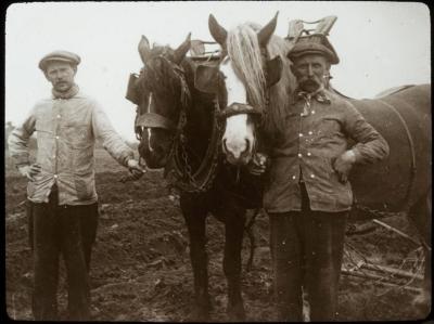 Schoonbroeck - Peer en Jef Meeus - boeren met paarden 
