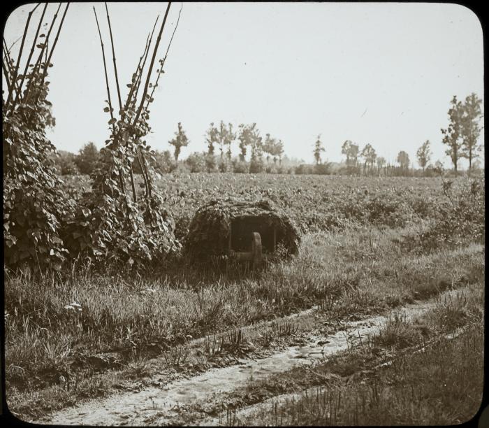 Schoonbroeck - landschap - P. V. Hal