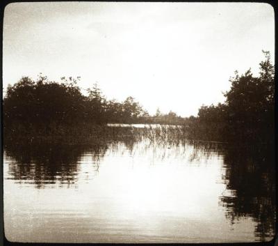 Corsendonck - landschap water - P. V. Hal