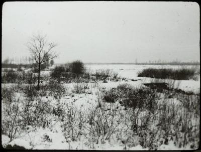 Thielen - sneeuwlandschap - P. V. Hal