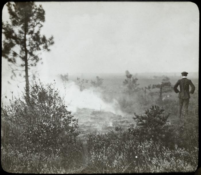 Weelde Merksplas: heidebrand 