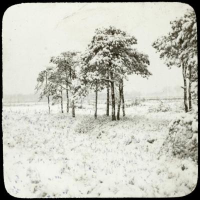 Zevendonck - sneeuwlandschap - P. V. Hal