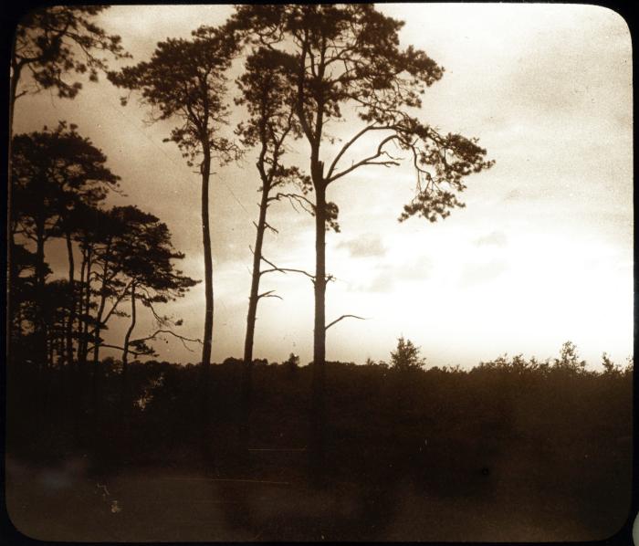 Zevendonck - landschap - P. V. Hal