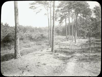 Zevendonck - landschap - P. V. Hal