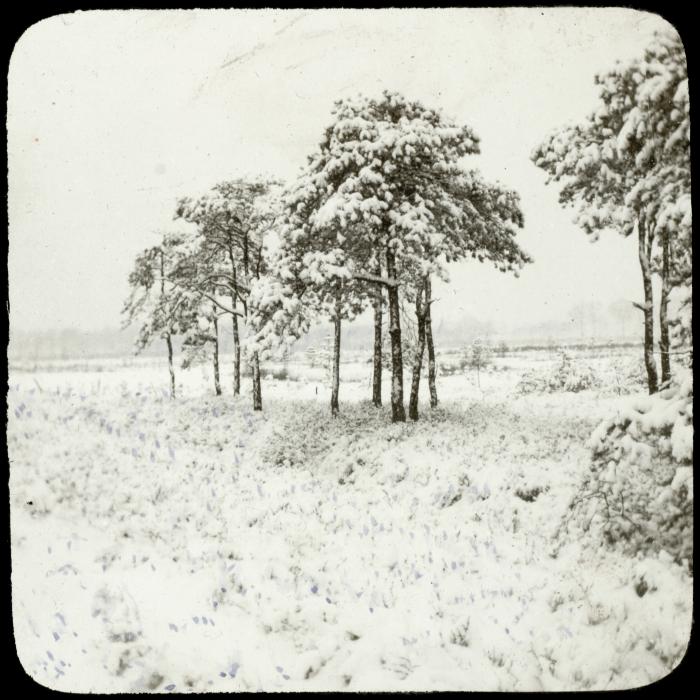 Zevendonck - sneeuwlandschap - P. V. Hal