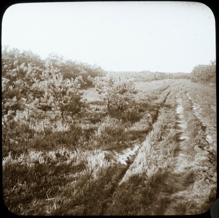 Zevendonck - landschap - P. V. Hal