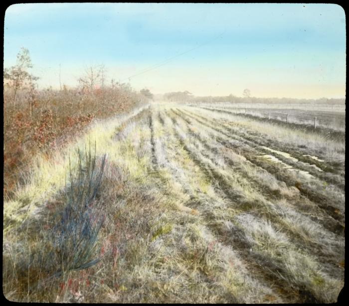 Zevendonck - landschap - P. V. Hal