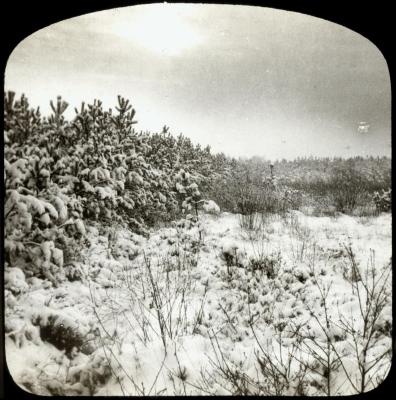 Zevendonck - sneeuwlandschap - P. V. Hal