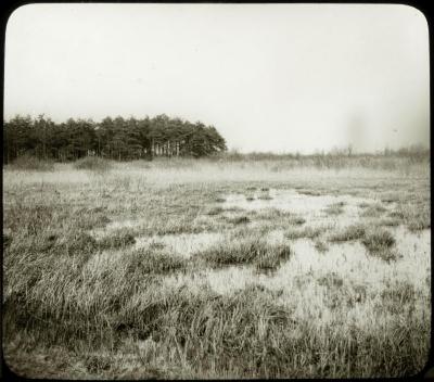 Zevendonck - koolput - sneeuwlandschap - P. V. Hal