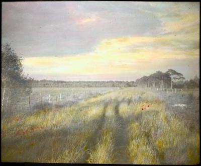 Zevendonck - landschap - P. V. Hal