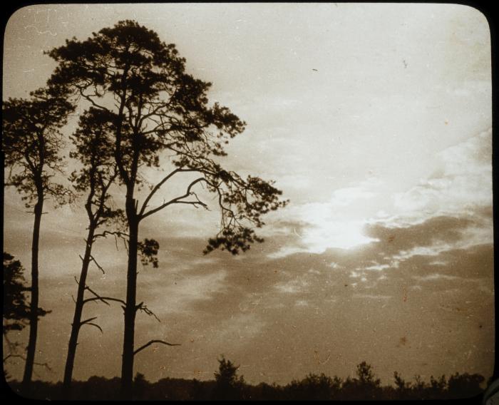 Sevendonck - landschap 