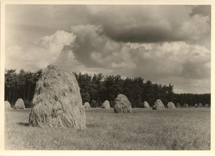 Landschappen:Zondereigensedijk