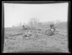 Twee mannen en een vrouw met gevelde boom