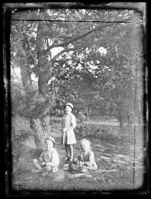 Drie kinderen in een bos