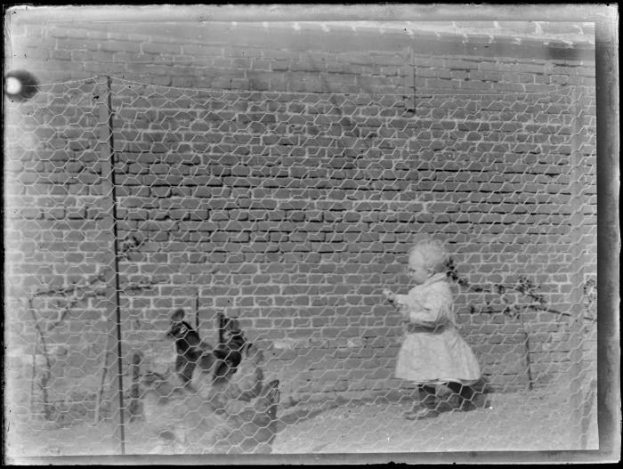 Peuter in een kippenren