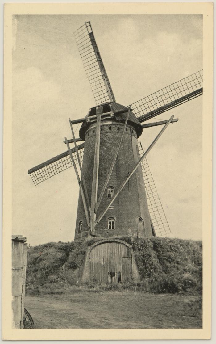 Oud Turnhout. De Molen.