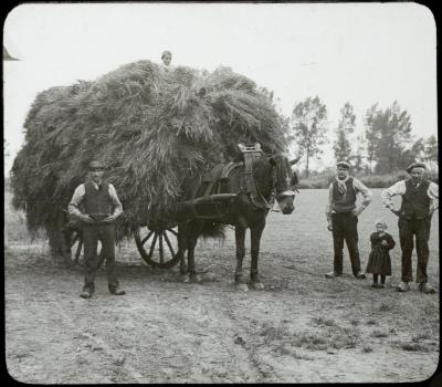 Boeren aan werk op veld